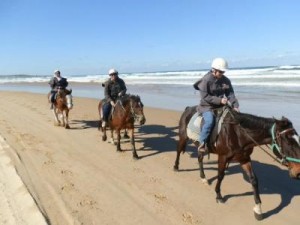 sahara-trails-horse-riding